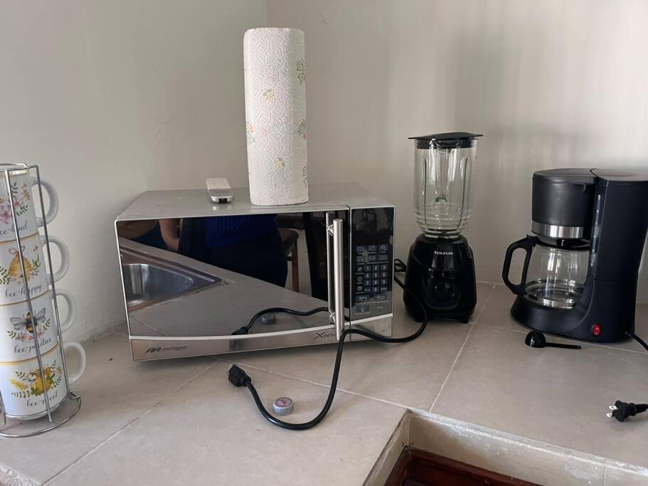 Flores Condominios Depa Lili Álamos エクステリア 写真