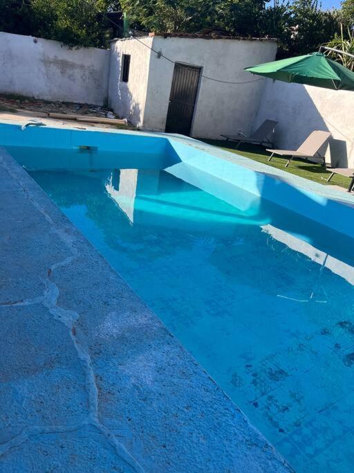 Flores Condominios Depa Lili Álamos エクステリア 写真